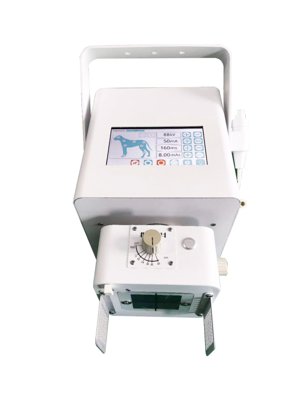IFLEX-5 gallery 02