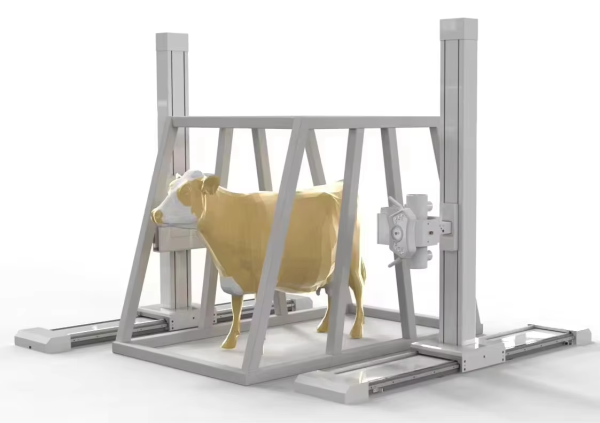 iVision-1000X Bovine-Clamp DR system — alternate angle