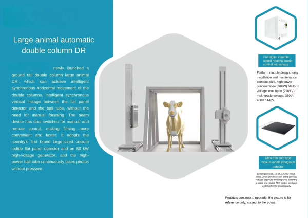 iVision-1000X Bovine-Clamp DR system — installation context