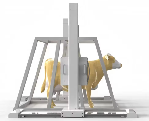iVision-1000X Bovine-Clamp DR system — front view with bovine patient in clamp frame