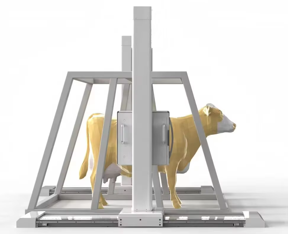 iVision-1000X Bovine-Clamp DR system — front view with bovine patient in clamp frame