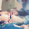 Veterinary electrosurgical procedure with IWA-FH350D
