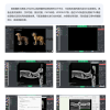 IWA-FP13 VetDXRay imaging software interface — veterinary workstation