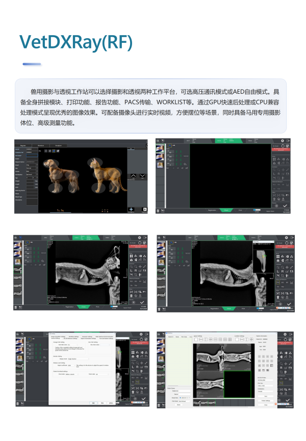 IWA-FP15 VetDXRay imaging software interface — veterinary workstation