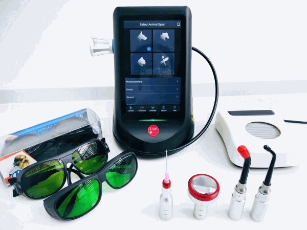 IWA-LAS10 Class IV veterinary laser therapy system — full kit with handpieces, safety glasses, foot switch, and treatment fiber