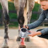 IWA-LAS20 cluster laser probe in clinical use on an equine fetlock