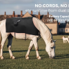 IWA-RLT10 — cordless operation with dual 24V battery pack, 4-hour runtime in stable or paddock