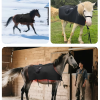 IWA-RLT10 wireless red light therapy blanket fitted on multiple equine patients