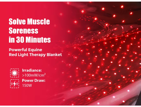 IWA-RLT10 equine red light therapy blanket — irradiance >100 mW/cm² and 150 W power draw