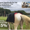 IWA-RLT10 — equine red light therapy blanket worn during conditioning warm-up