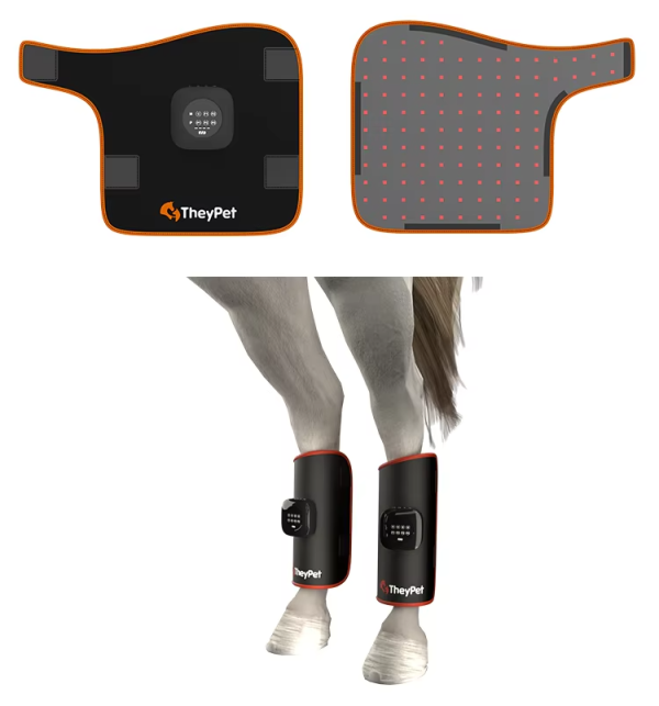 IWA-RLT20 — body pad top and underside view, plus leg pads worn by horse