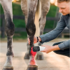 IWA-RLT40 handheld red light therapy device used on equine fetlock — clinical application