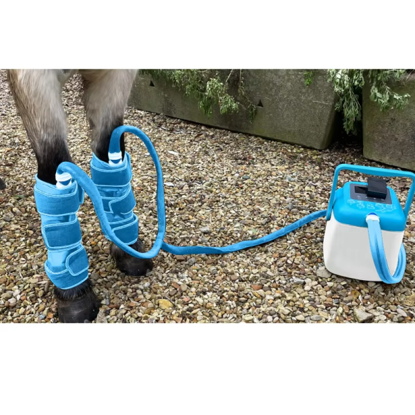 IWA-SCT20 air compression cold therapy applied to equine front legs in stable yard