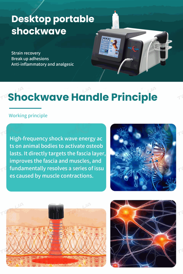 IWA-SWT10 desktop portable shockwave — working principle, fascia and muscle targeting