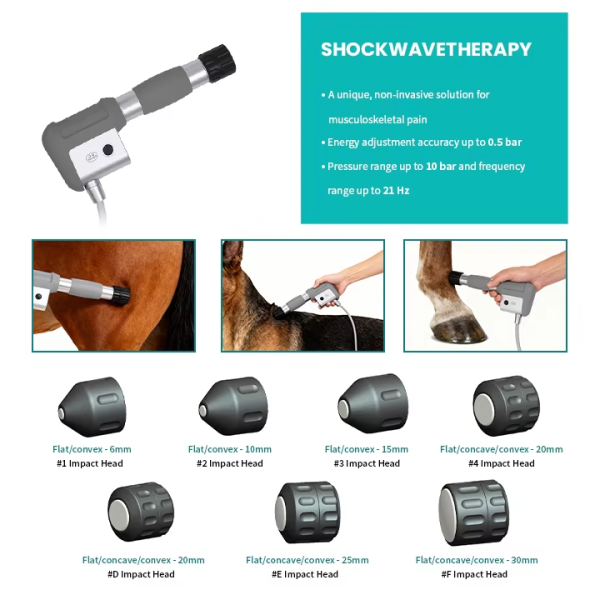 IWA-SWT20 seven interchangeable impact heads — flat/concave/convex 6/10/15/20/25/30 mm, energy accuracy up to 0.5 Bar