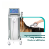 IWA-SWT20 high-power shockwave station treating a large dog — deep penetration and strain rehabilitation
