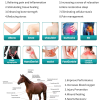 IWA-SWT30 positive physiological effects — 8 effects across 10 body areas plus equine anatomical reference