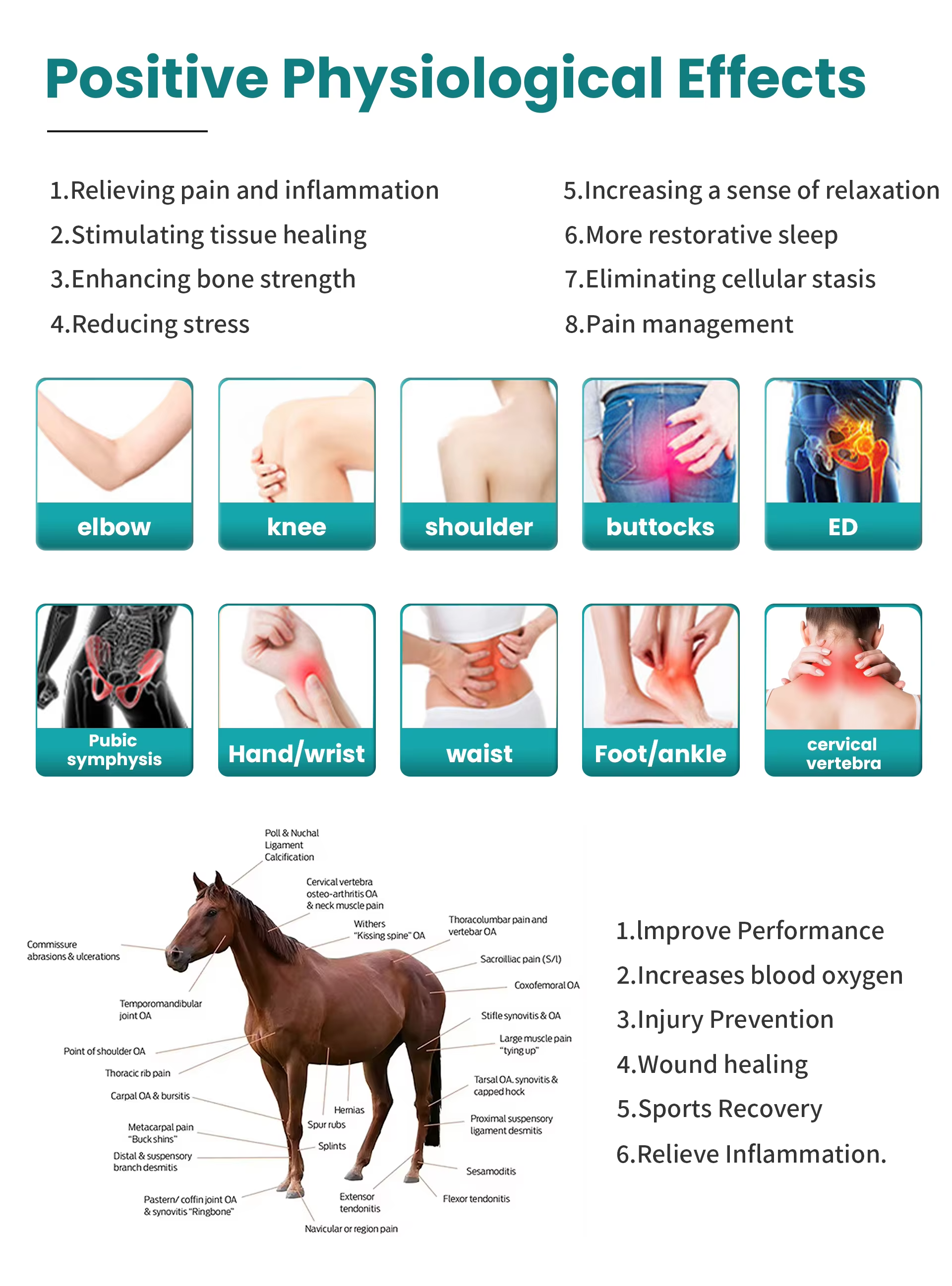 IWA-SWT30 紧凑桌面气动马用冲击波治疗仪 — effects