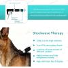 IWA-SWT30 shockwave handle — 10 Bar / 21 Hz high-intensity, 2-6 cm penetration depth, high-hardness gun barrel