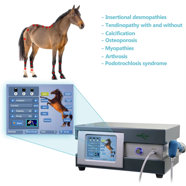 IWA-SWT30 indications — insertional desmopathies, tendinopathy, calcification, osteoporosis, myopathies, arthrosis, podotrochlosis syndrome