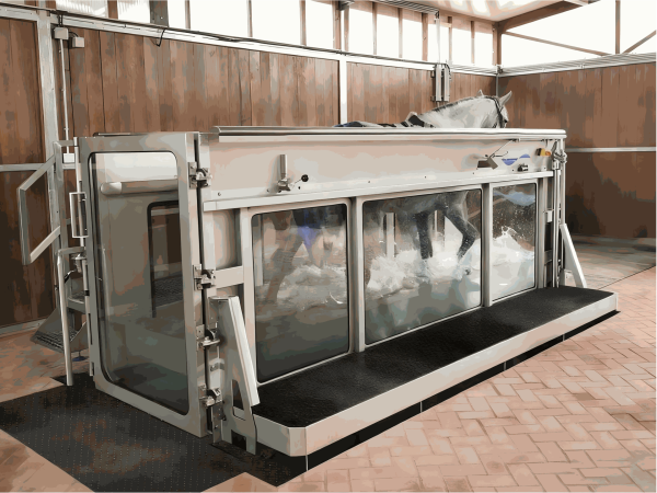 IWA-TM10 equine underwater treadmill — full unit with sliding doors, viewing windows, and integrated platform