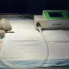 IWA-Ven10 small-animal and exotic veterinary ventilator in clinical use - compact unit connected to a juvenile turtle / reptile patient on a recovery pad