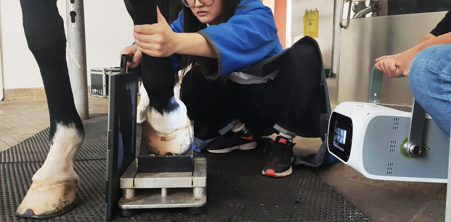 iflex-40-equine-use iFlex-40 马用便携 DR 马房现场拍摄