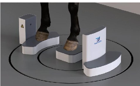 iwa-ct07-standing-1.jpg Equine limb positioned on the footpad for standing acquisition